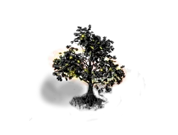 Blacktree (gold) Level 3