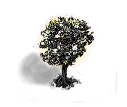 Blacktree (gold) Level 4