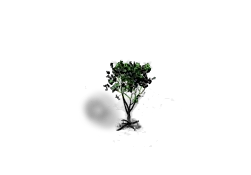 Blacktree (green) Level 1