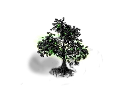 Blacktree (green) Level 3