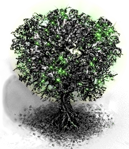 Blacktree (green) Level 7