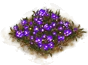 Flowerbed (Violet)