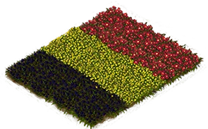 Flowerbed Flag: Belgium