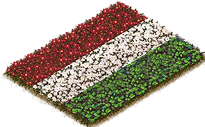 Flowerbed Flag: Hungary