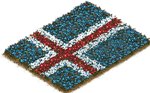 Blumenbeet-Flagge: Island
