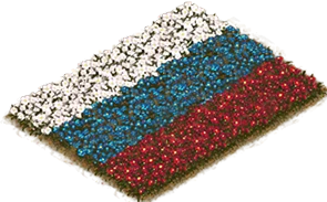 Flowerbed Flag: Russia