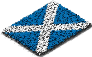 Flowerbed Flag: Scotland
