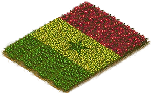 Flowerbed Flag: Senegal