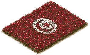 Flowerbed Flag: Tunisia