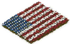 Blumenbeet-Flagge: USA